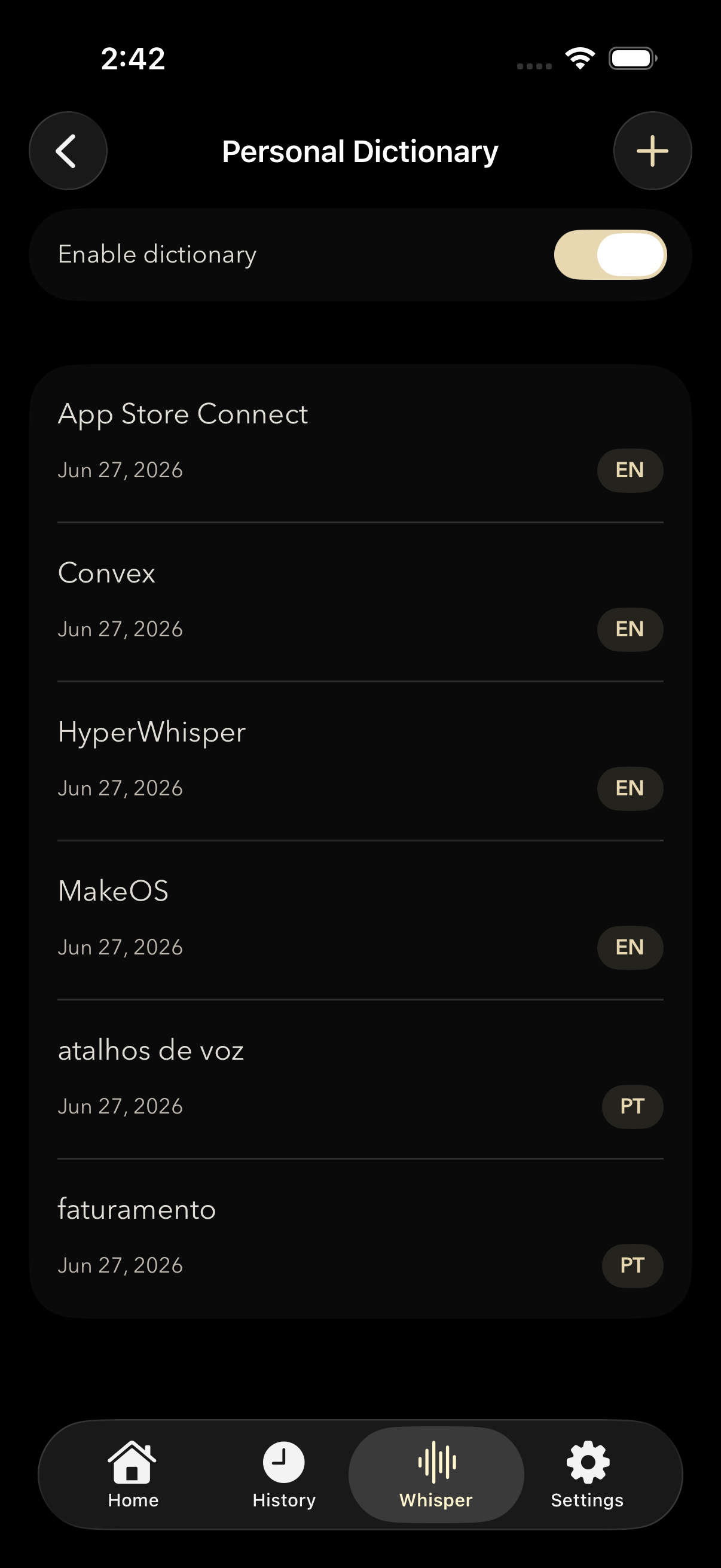 Personal dictionary — custom terms for accurate dictation